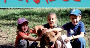 Kniha ing. Hany Bláhové nazvaná „Deník poradce“