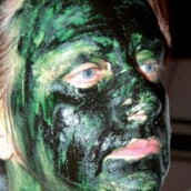 Spirulina (Arthrospira platensis)