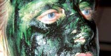 Spirulina (Arthrospira platensis)